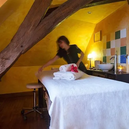 Relais Du Silence Domaine Des Thomeaux 3* Mosnes